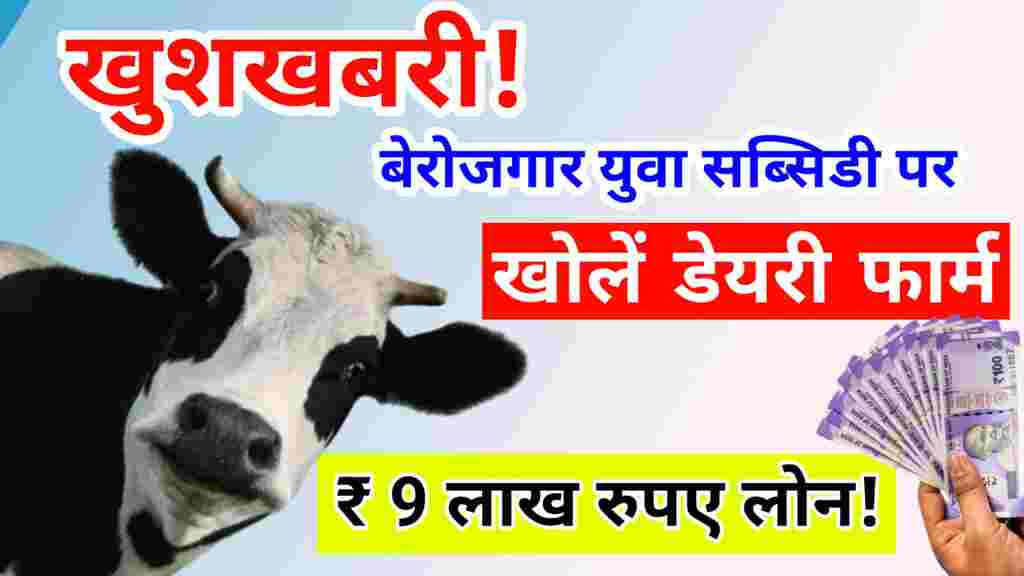 dairy loan